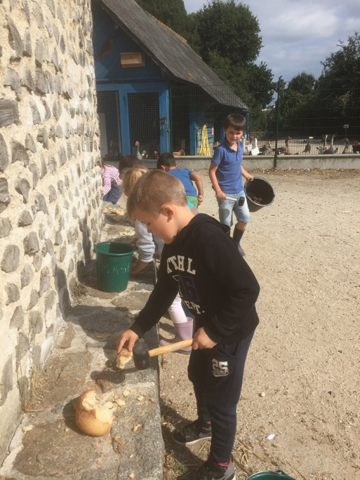 Visite de la ferme de la ville Oger